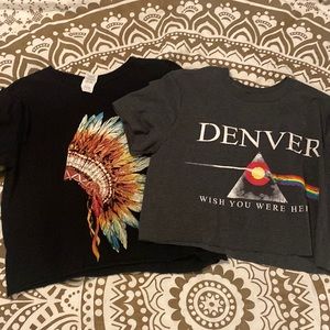 Vintage Crop Tops Bundle of 2 | small